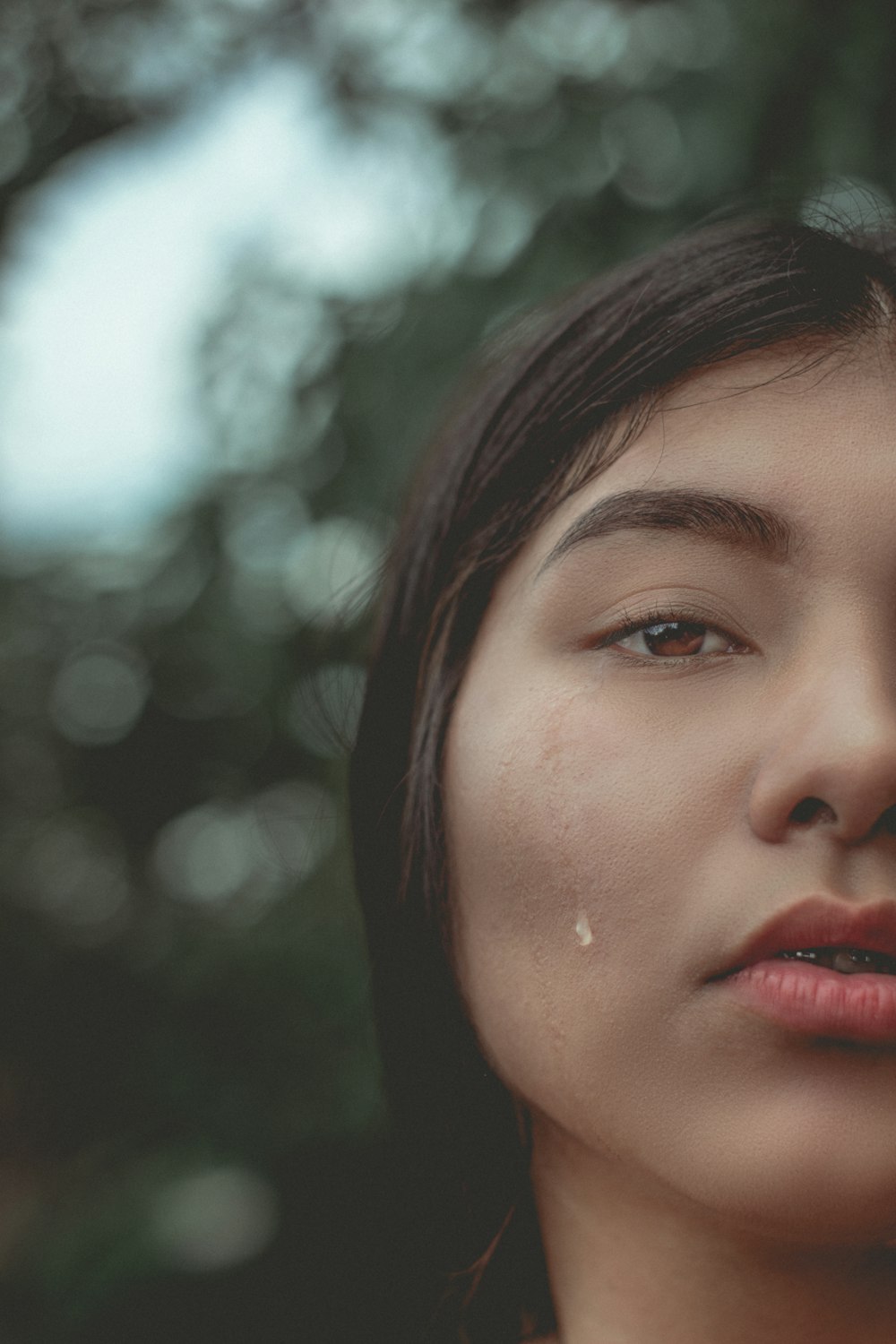 womans face in close up photography