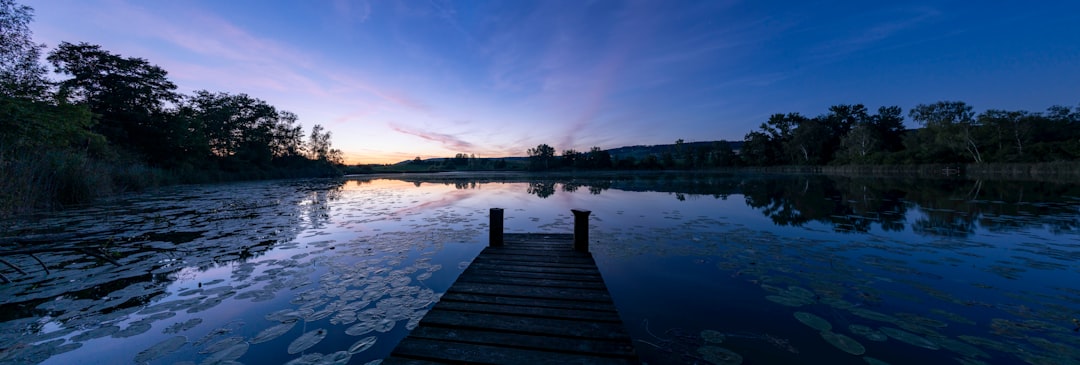 brown wooden dock on lake during daytime