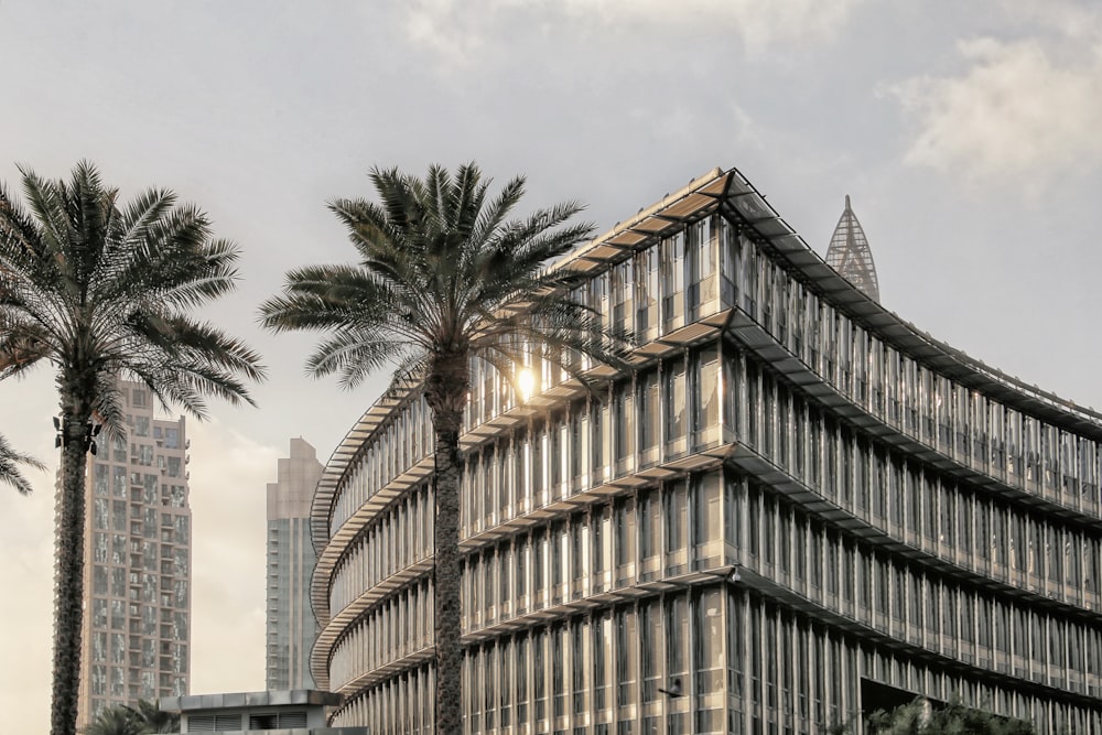 beige concrete building near palm trees during daytime