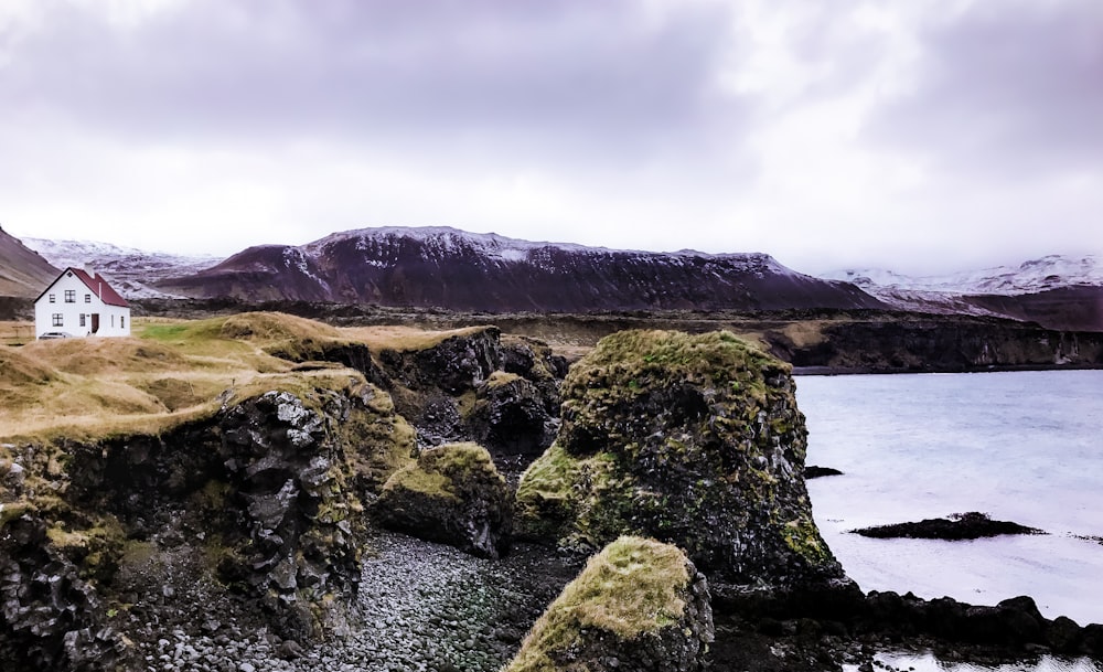 green and brown rock formation near body of water during daytime