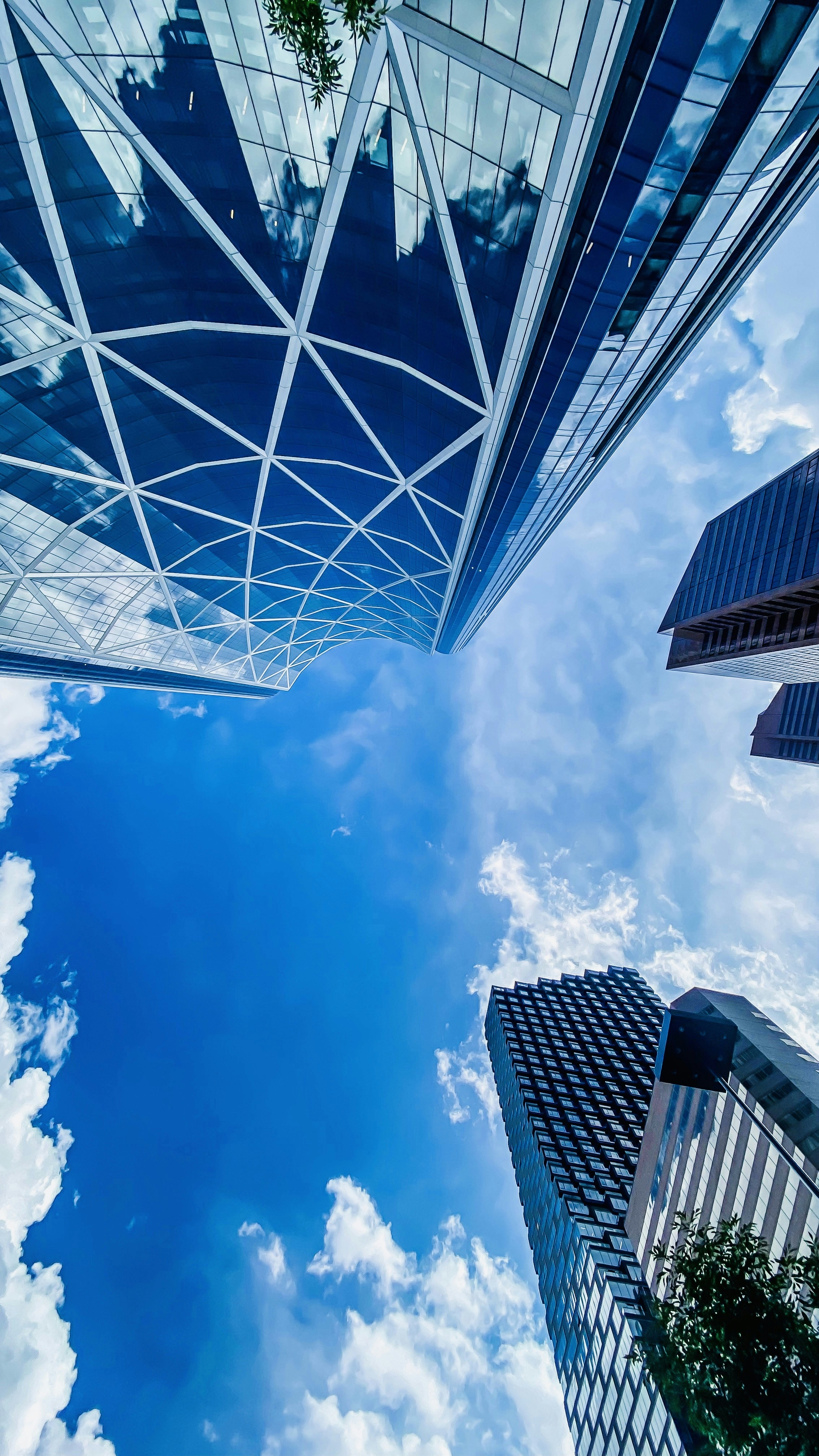 Photo by moonfallmedia