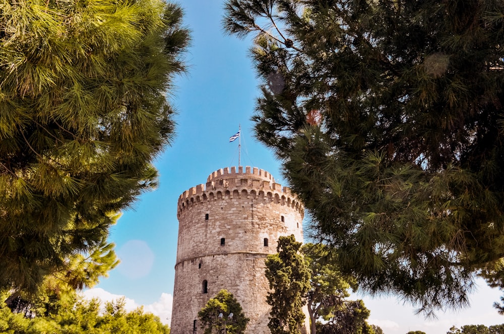 brown concrete castle surrounded by green trees under blue sky during daytime