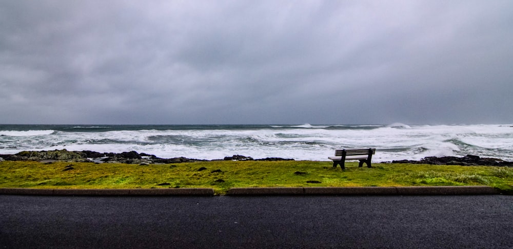 Gente de pie en el campo de hierba verde cerca del mar bajo el cielo gris durante el día