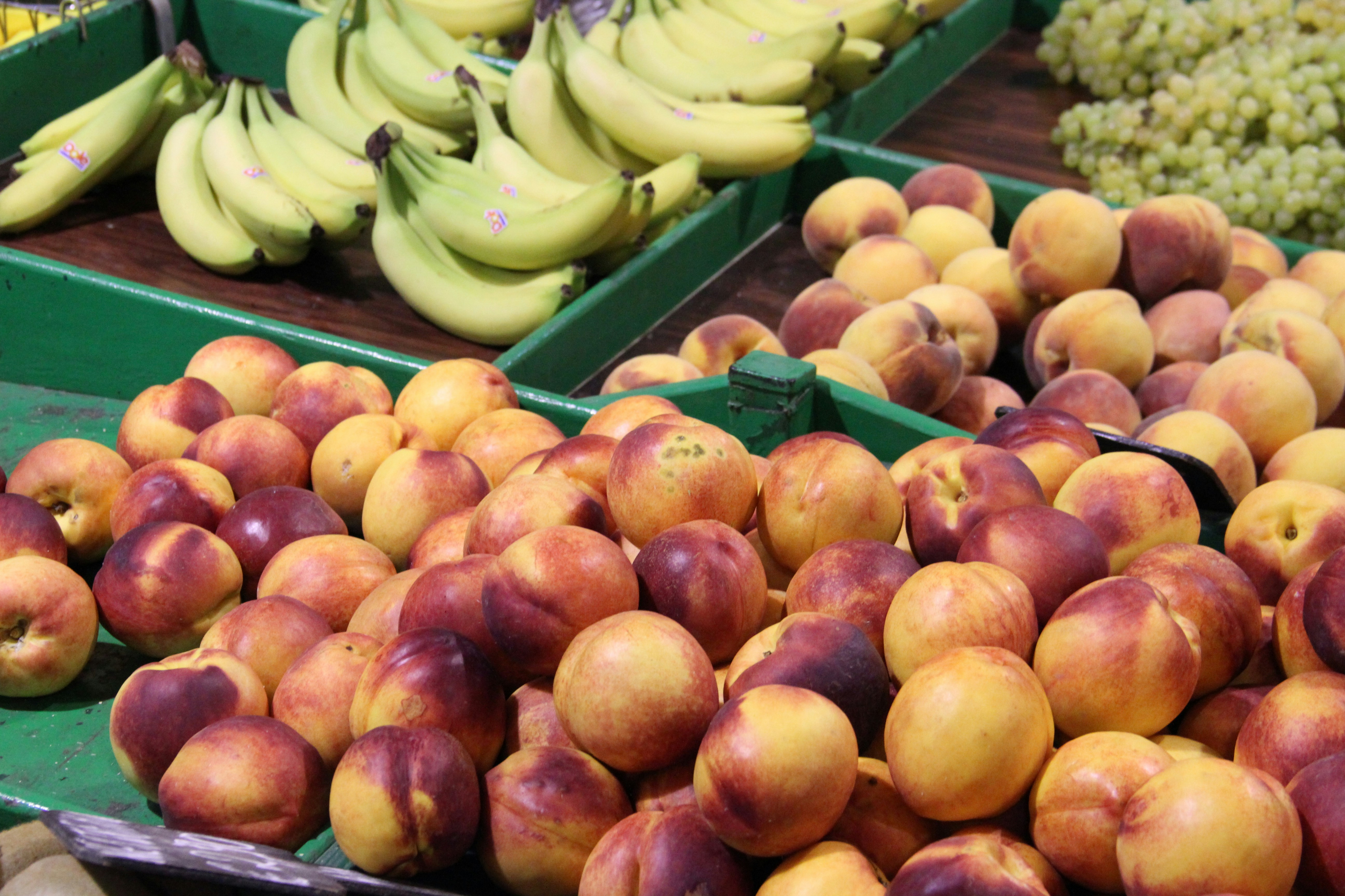 Photo by shalevcohen