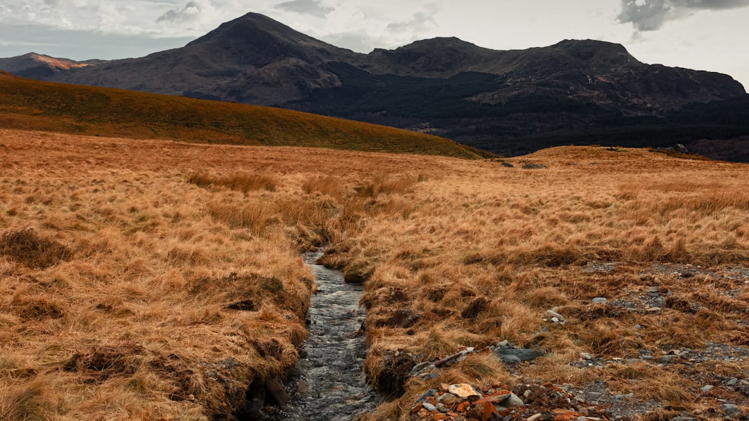 brown grass field near mountain during daytime