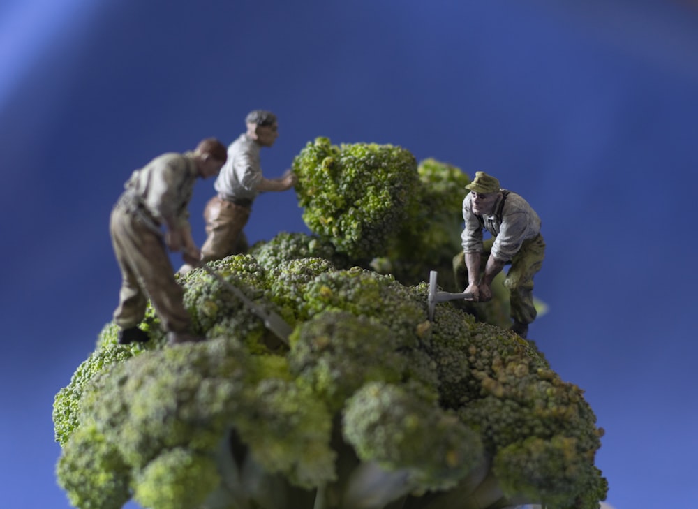 homme en veste grise et jean bleu debout à côté de l’arbre vert pendant la journée