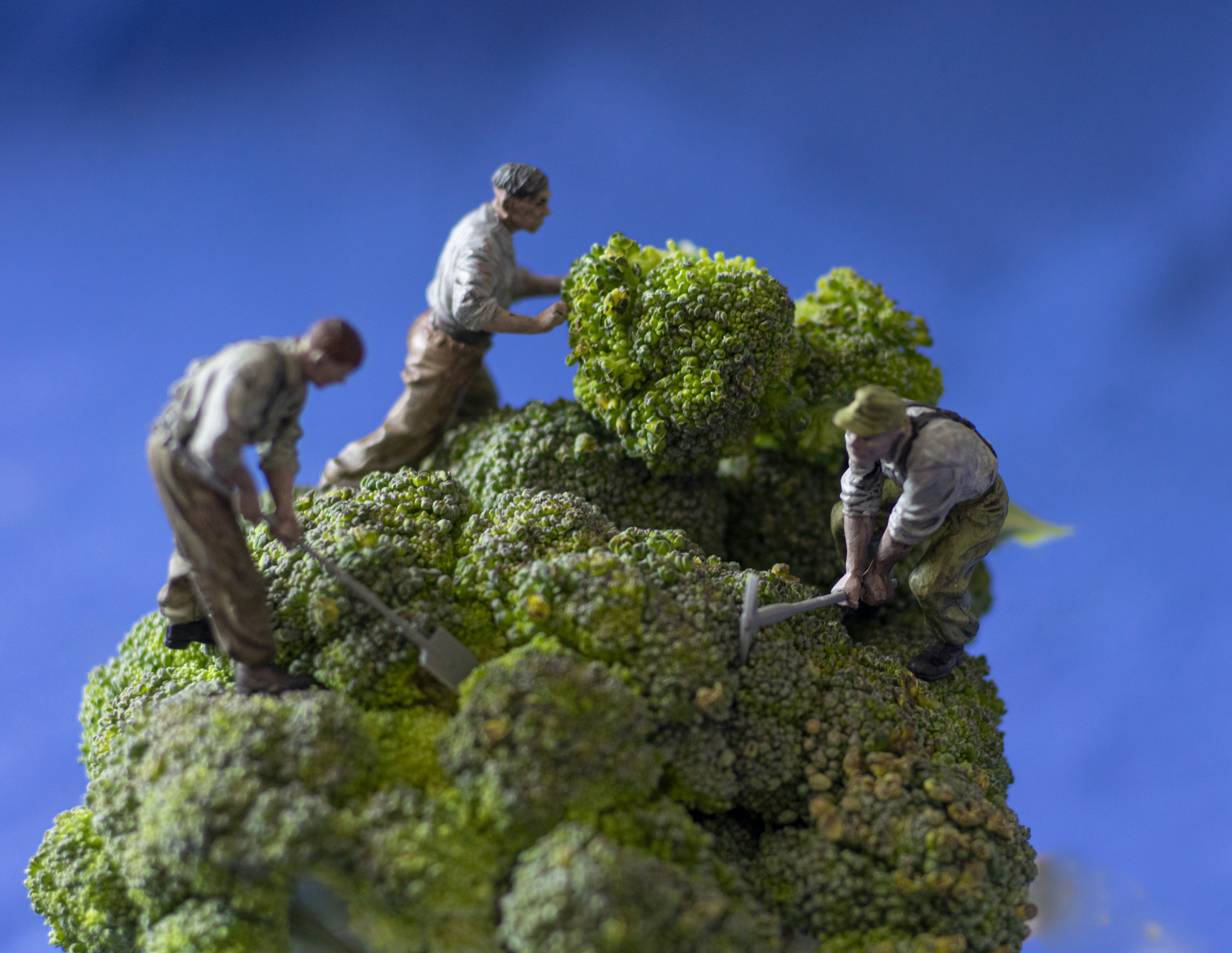 Ugyanaz az ebéd háromszoros áron? A pécsi közétkeztetésben ez sem lehetetlen