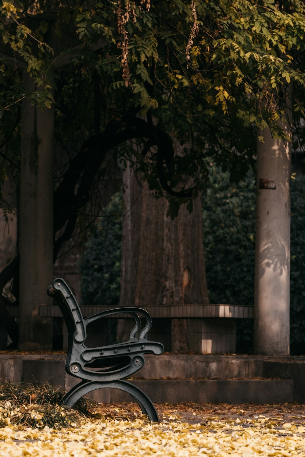 black metal armchair near brown wooden fence