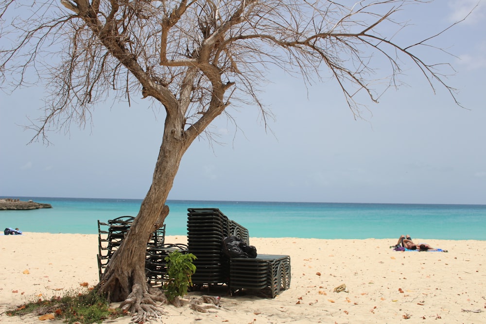 brown wooden bench on beach during daytime