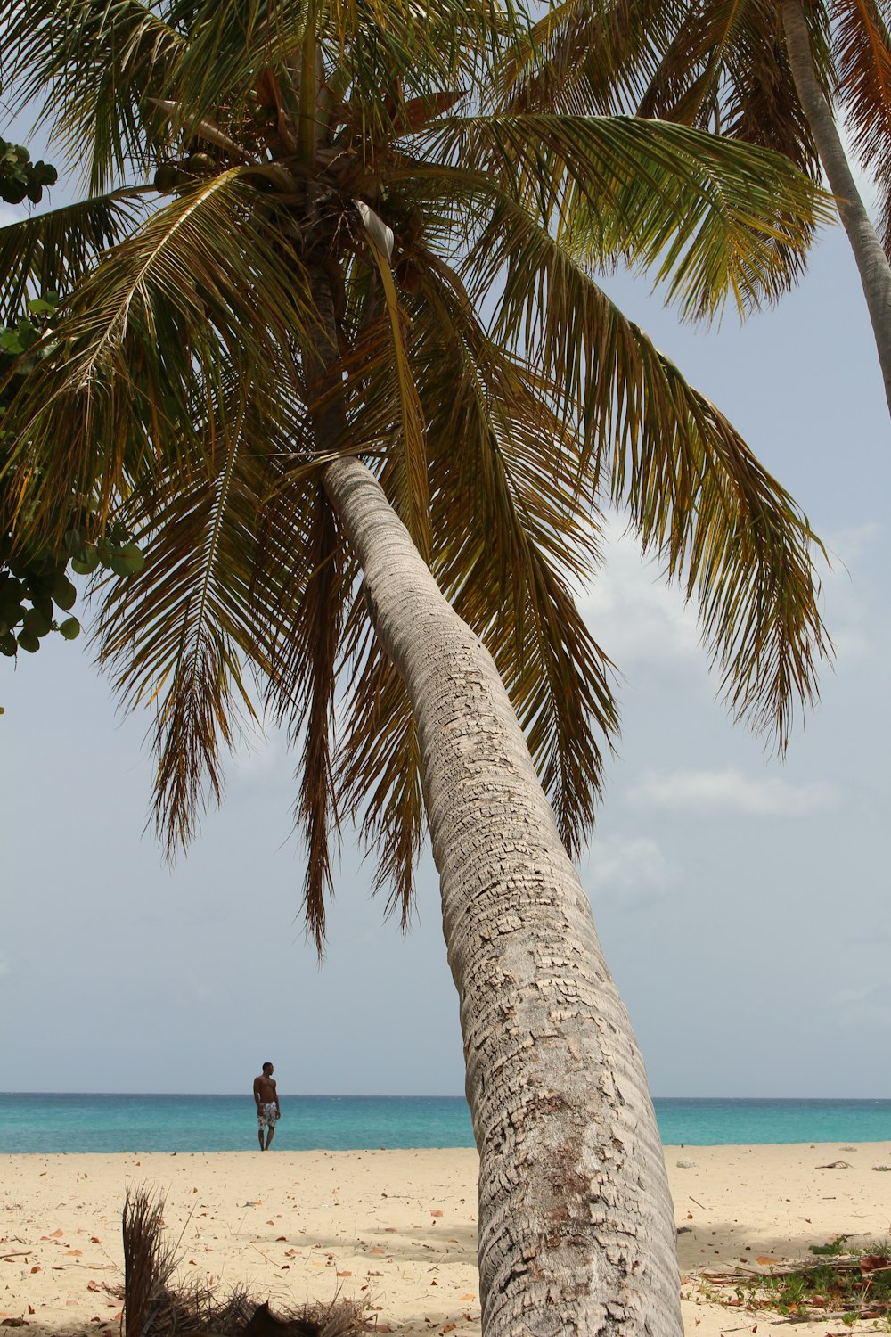 Persona sentada en la orilla de la playa durante el día