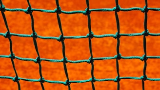 Close-up of a securely installed safety net covering an apartment duct area in chennai