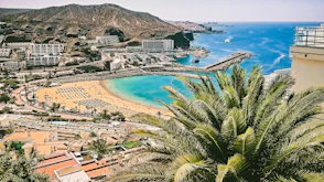 aerial view of beach and palm trees