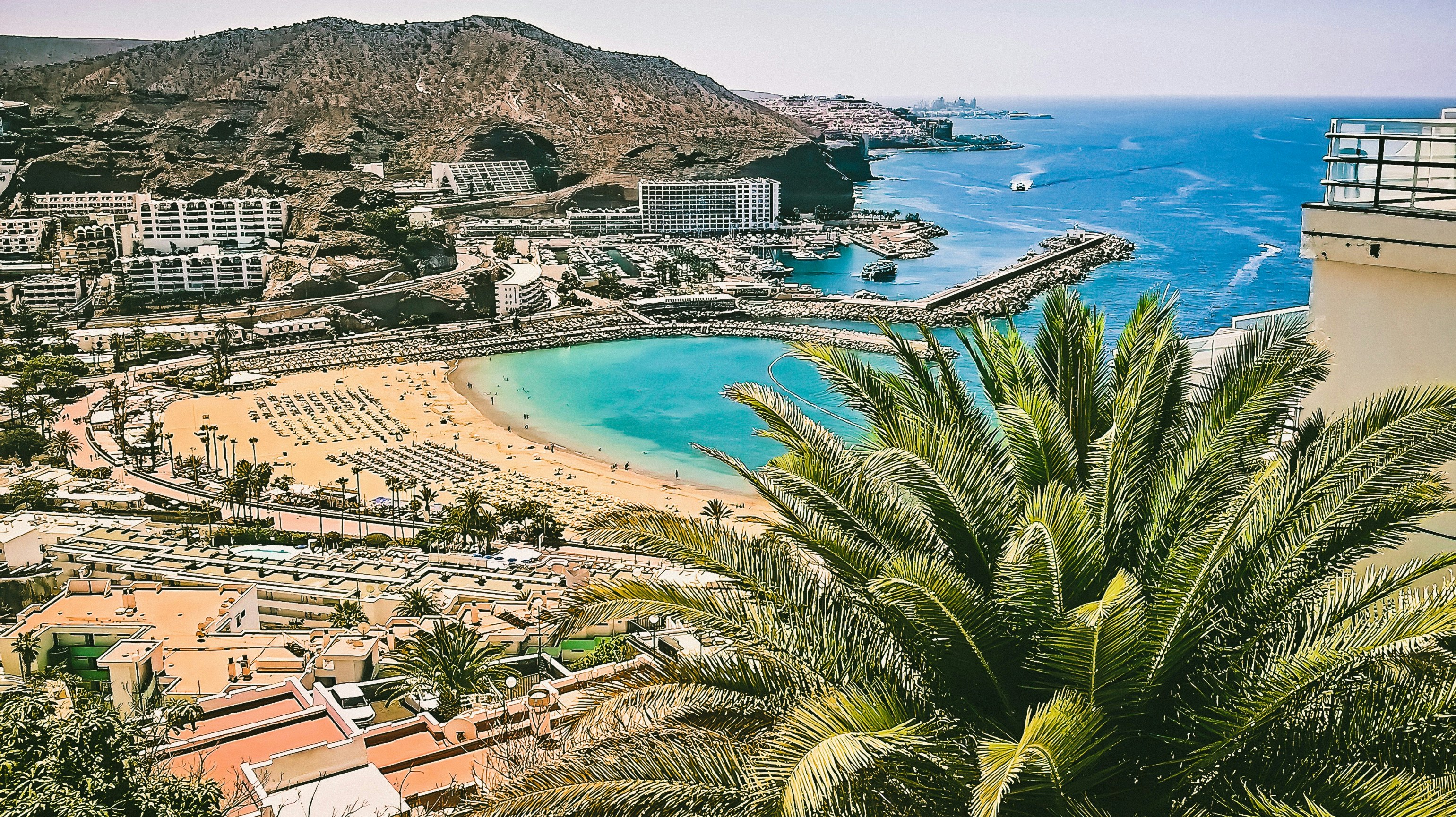 aerial view of beach and palm trees