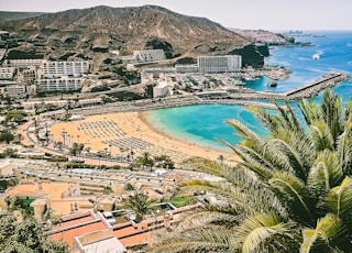 aerial view of beach and palm trees