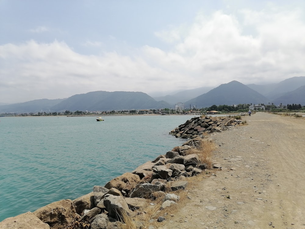 brown rocks near body of water during daytime