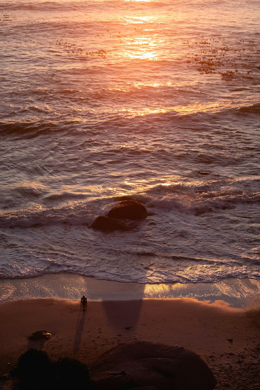 person standing on beach during sunset