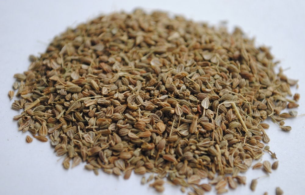 brown dried leaves on white surface