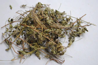 dried leaves on white surface