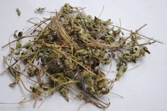 dried leaves on white surface