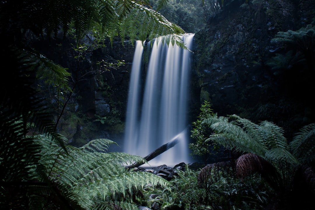 Waterfall photo spot Great Otway National Park Lorne