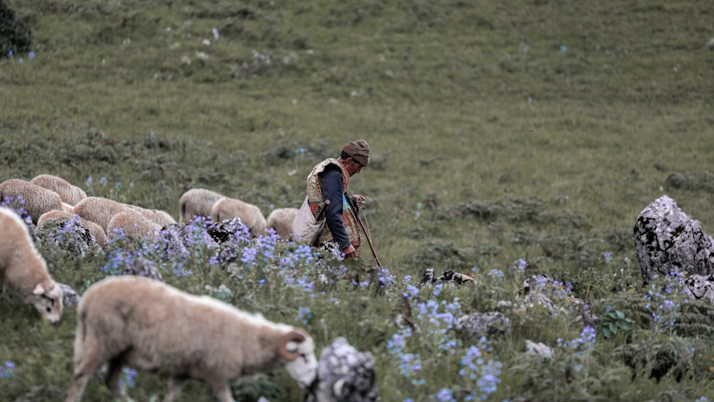 Mujer en chaqueta roja de pie en el campo de hierba verde con perros blancos y marrones durante el día