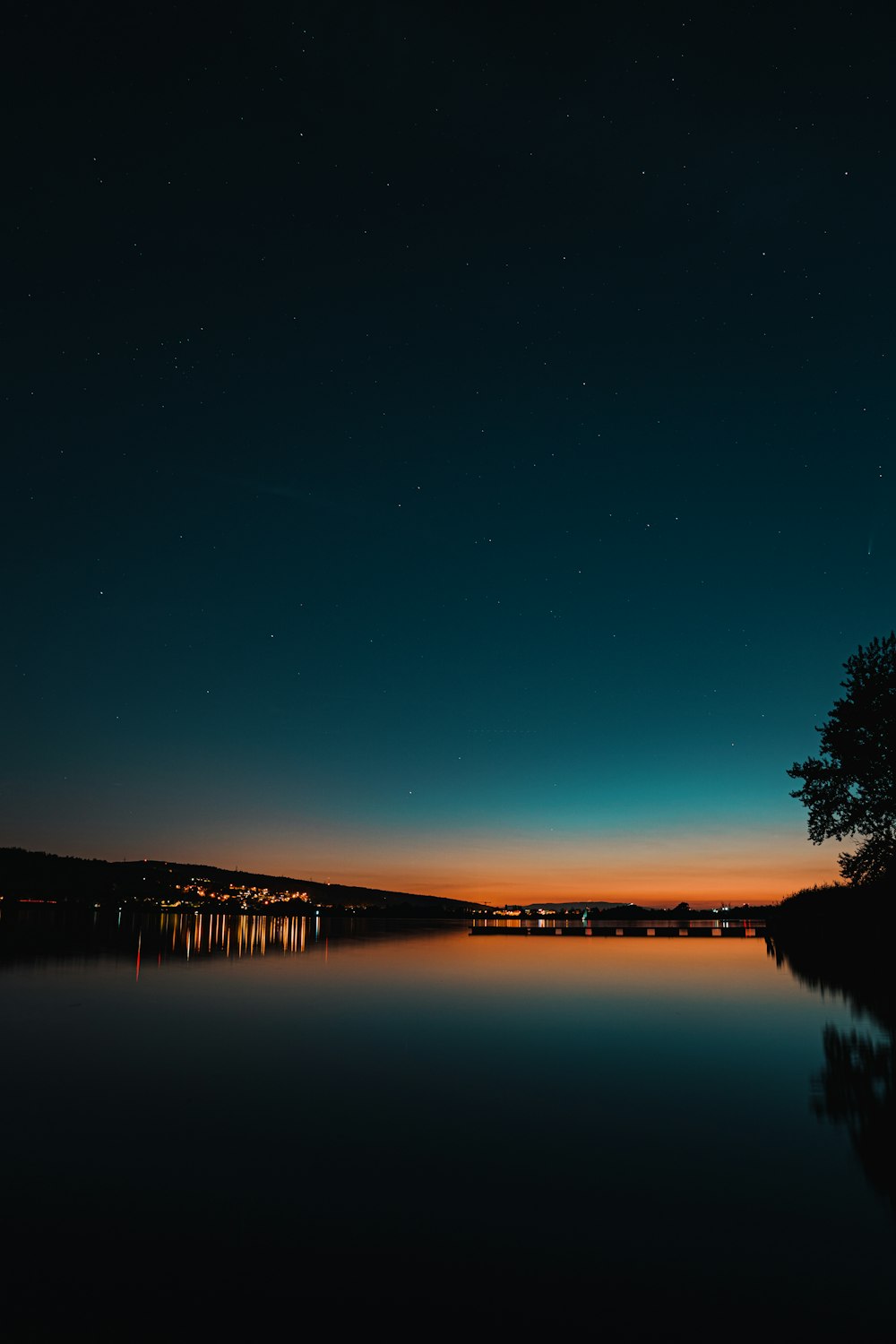 silhouette of trees near body of water during night time