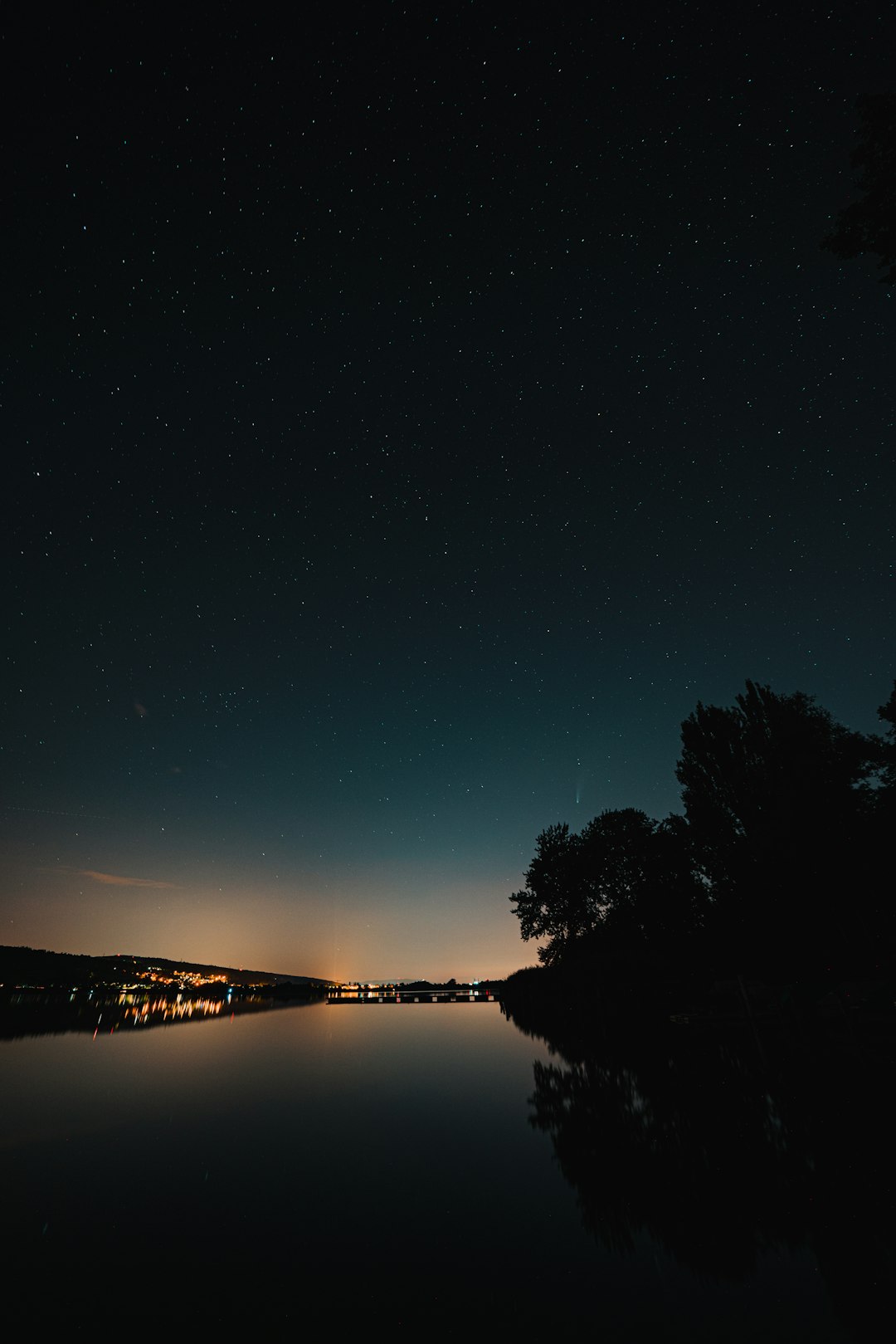 silhouette of trees near body of water during night time