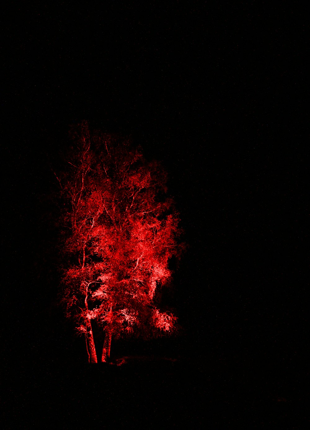 rotes und schwarzes Feuer während der Nachtzeit