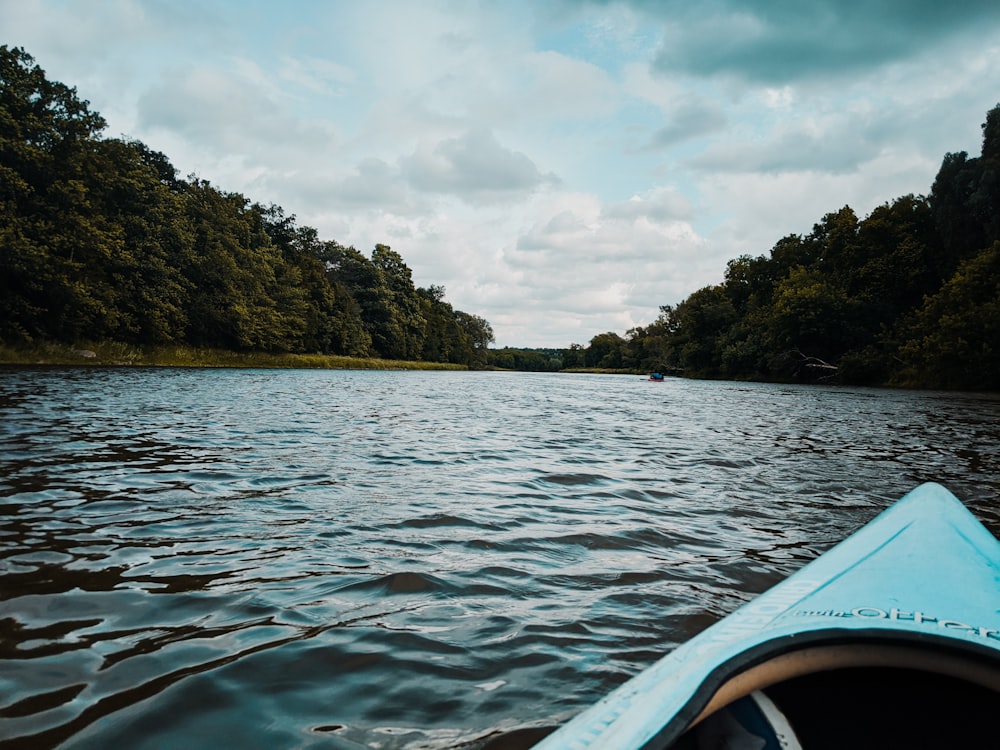 green trees beside body of water during daytime