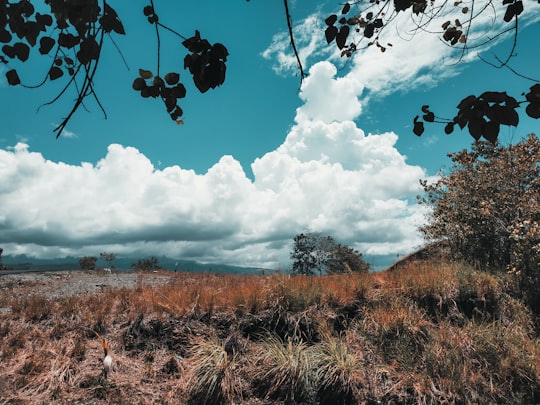 brown grass field under white clouds and blue sky during daytime in Sentani Indonesia