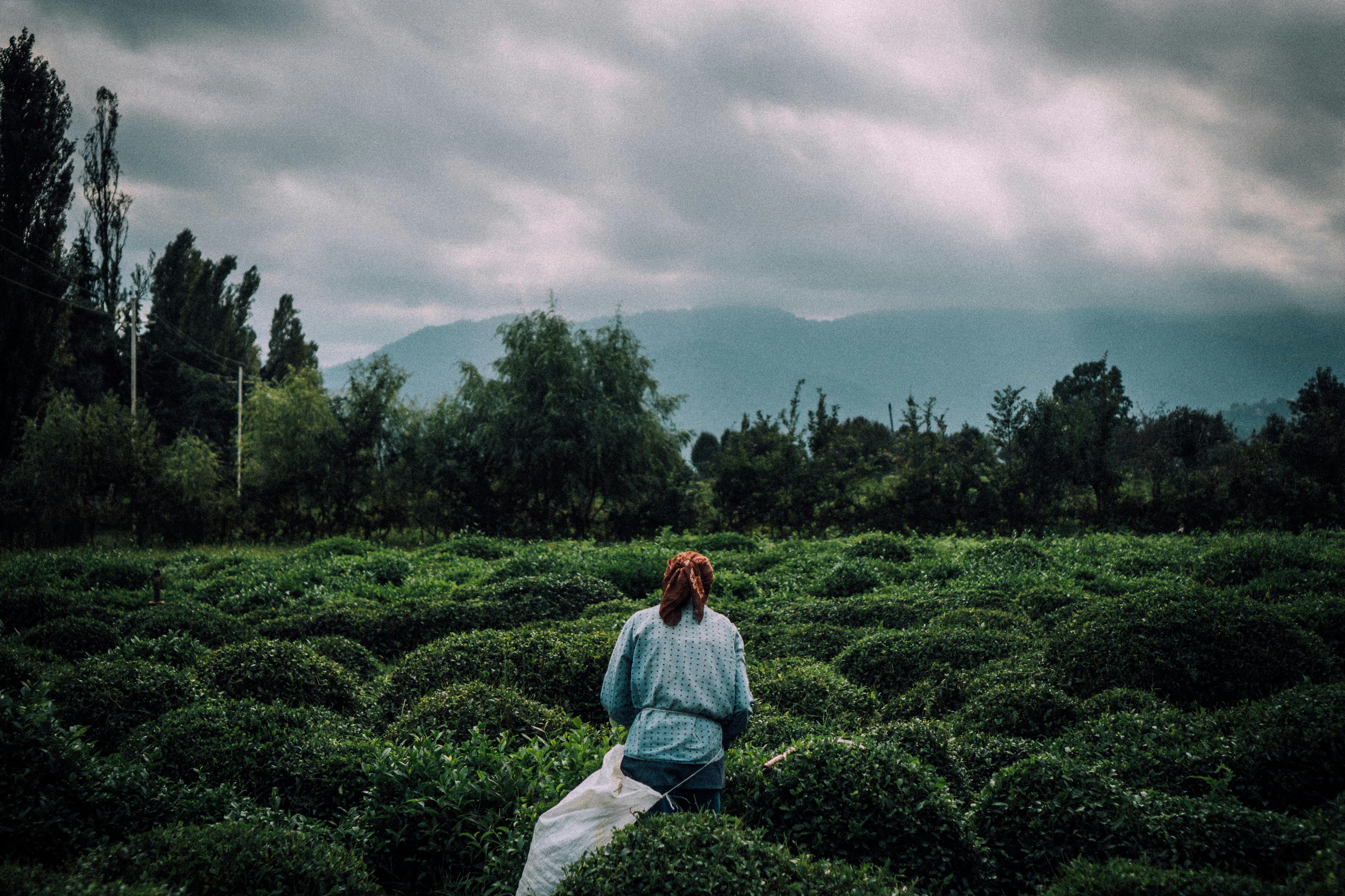woman in white long sleeve shirt sitting on green grass field during daytime
