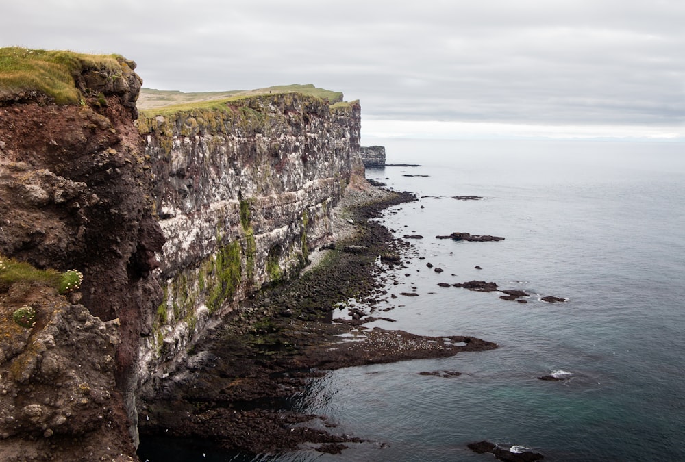 green grass on cliff by the sea during daytime