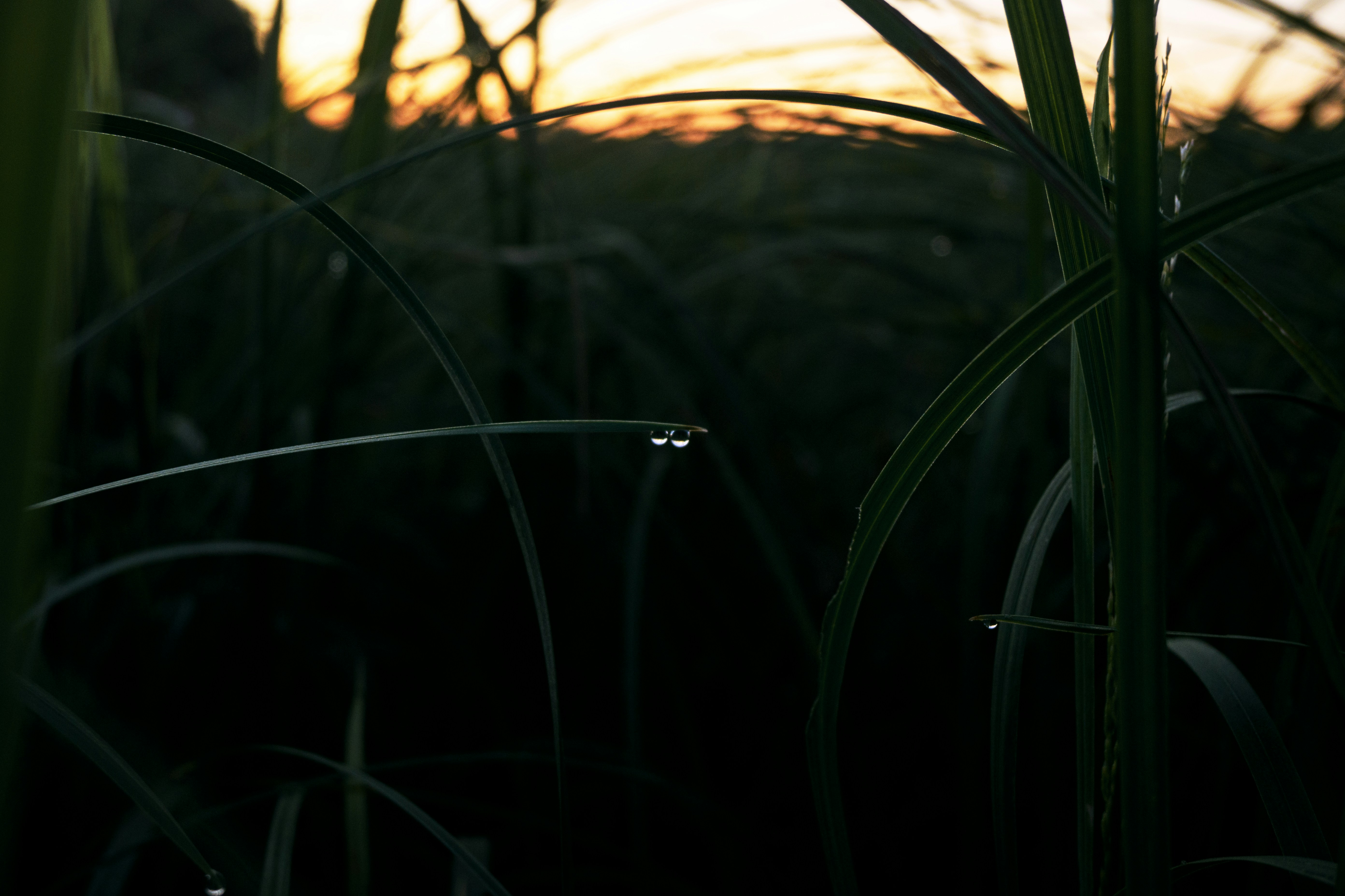 Photo by whynot00