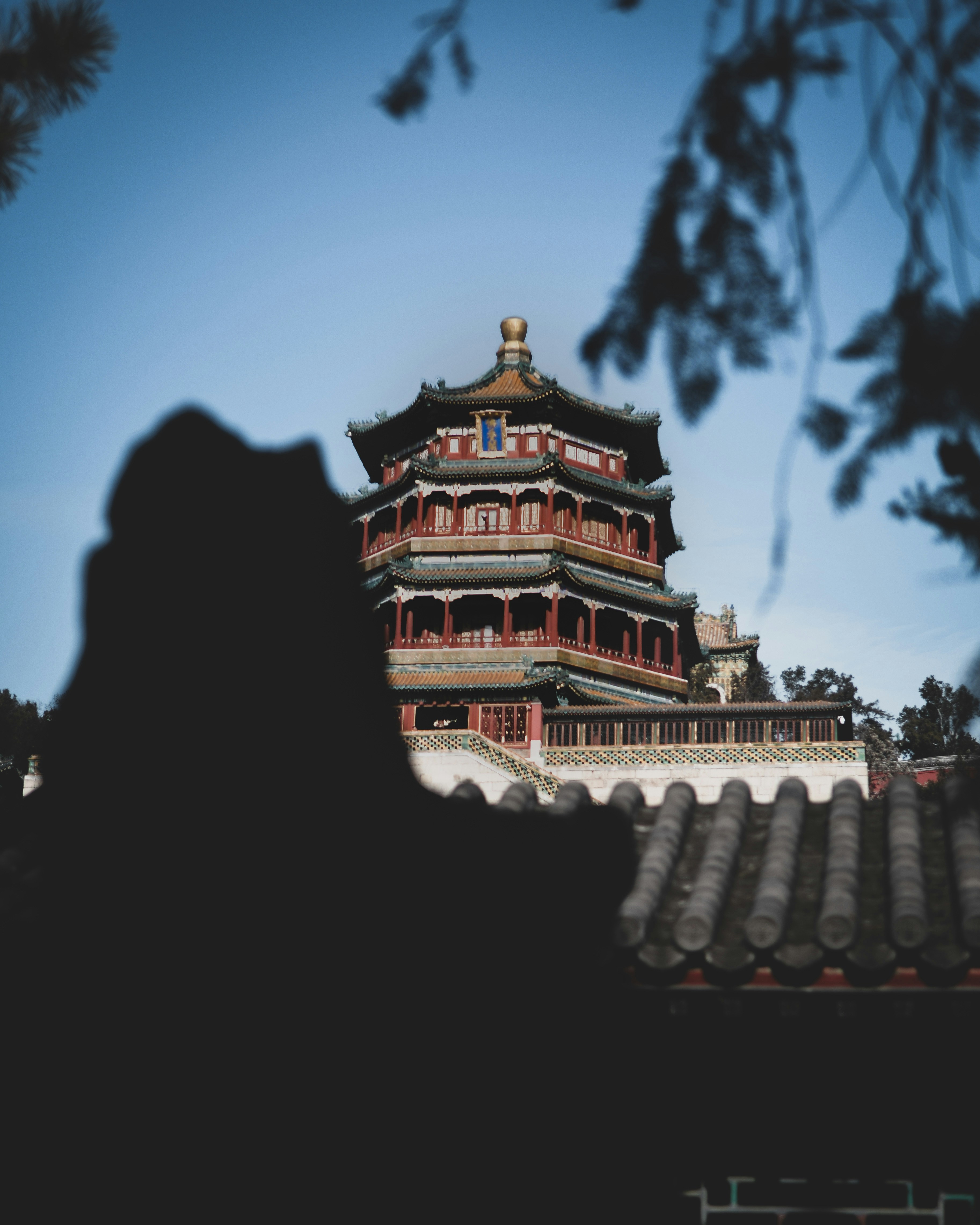 Photo by __menglong