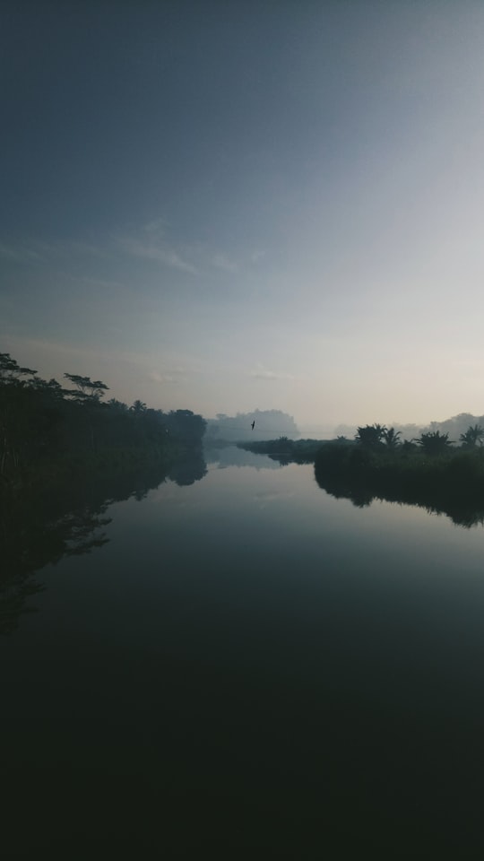 body of water near trees during daytime in Progo River Indonesia