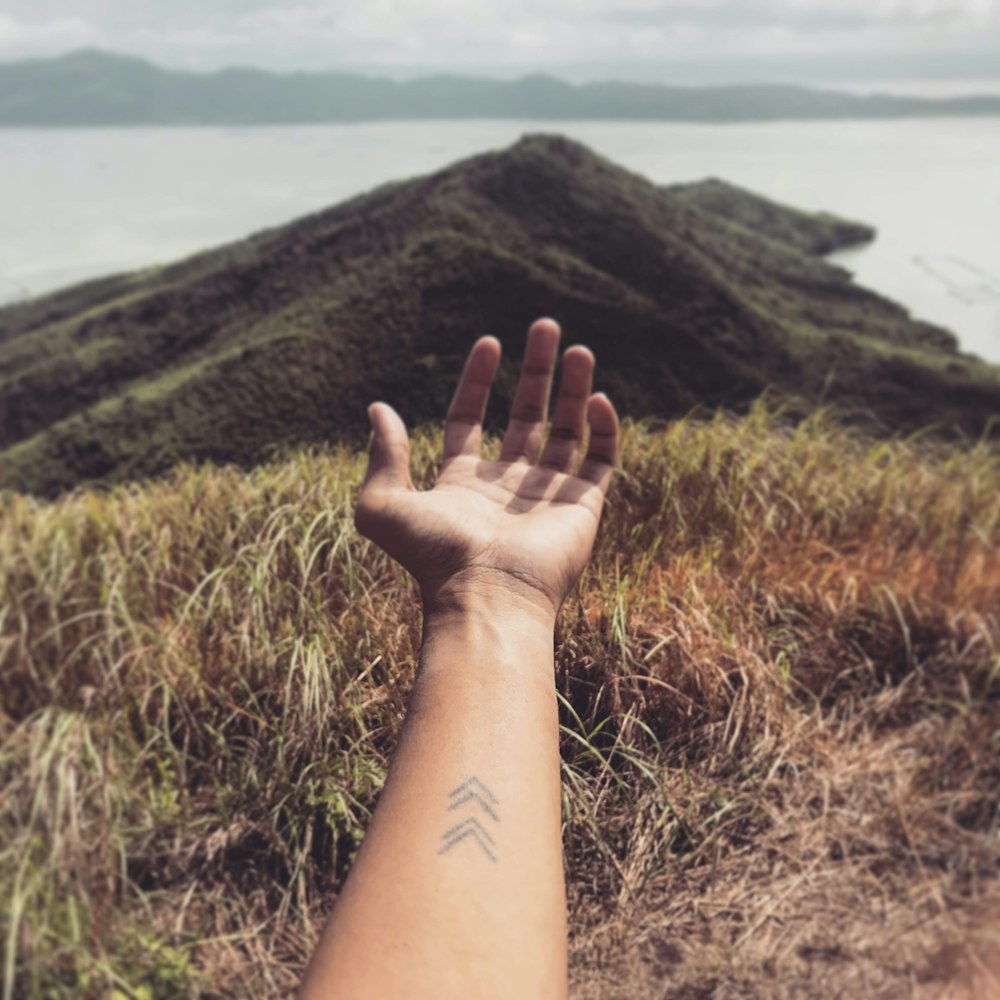 persons left hand on brown grass field near body of water during daytime