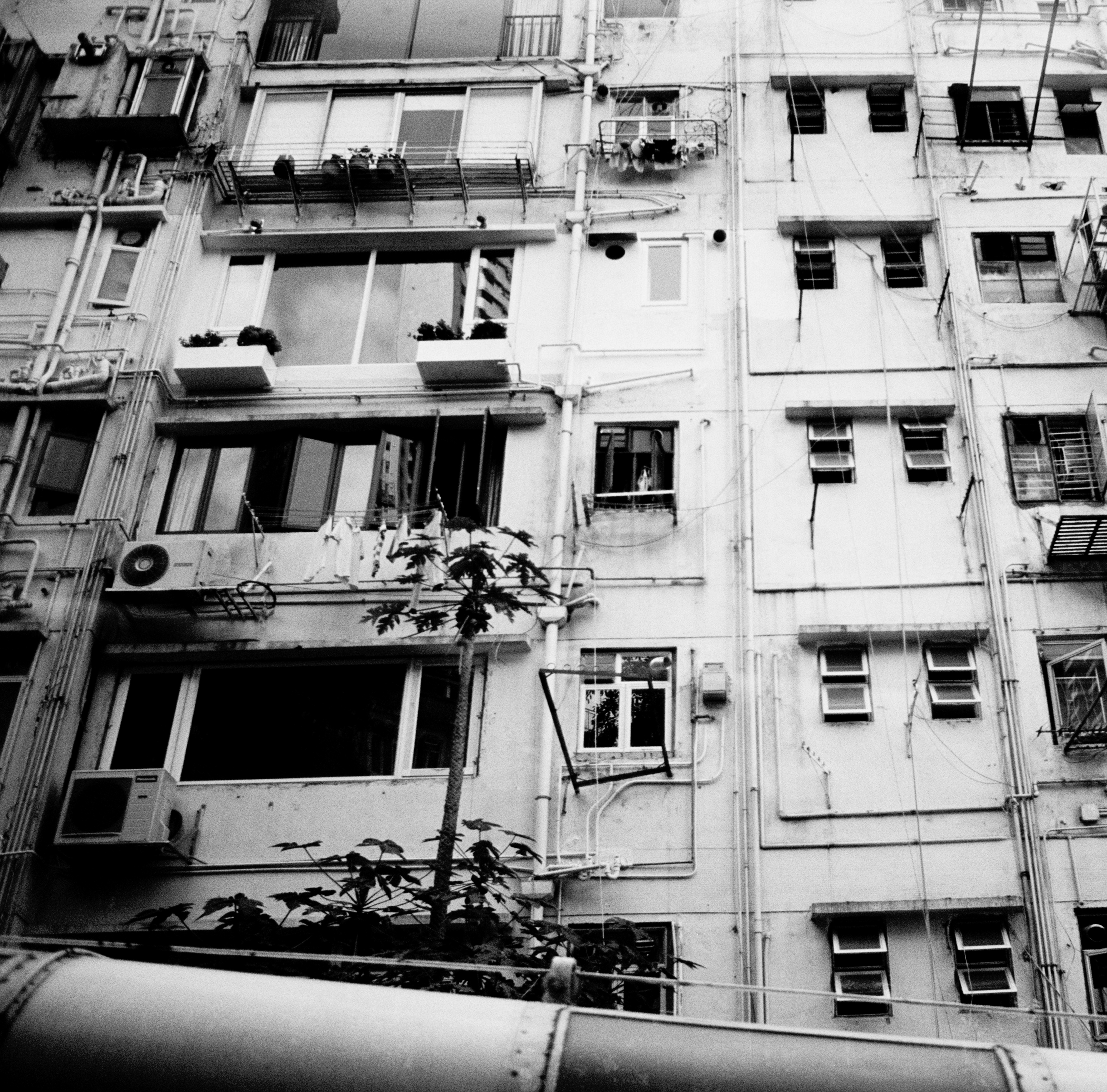 Photo by henniestander