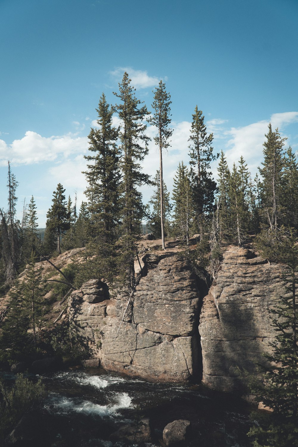 green pine trees on brown rocky mountain under blue sky during daytime