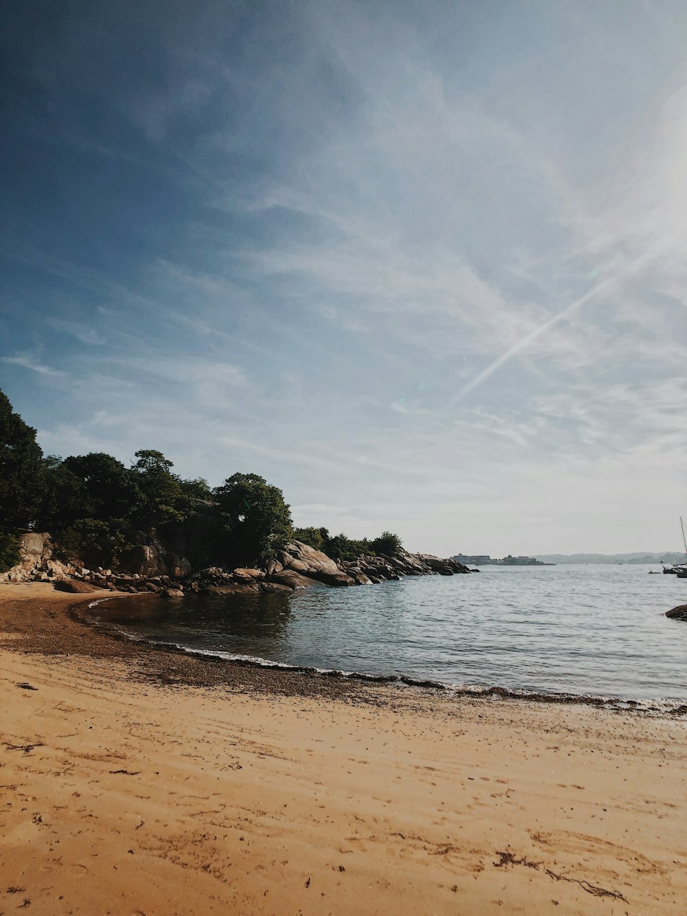 green trees on brown sand beach during daytime