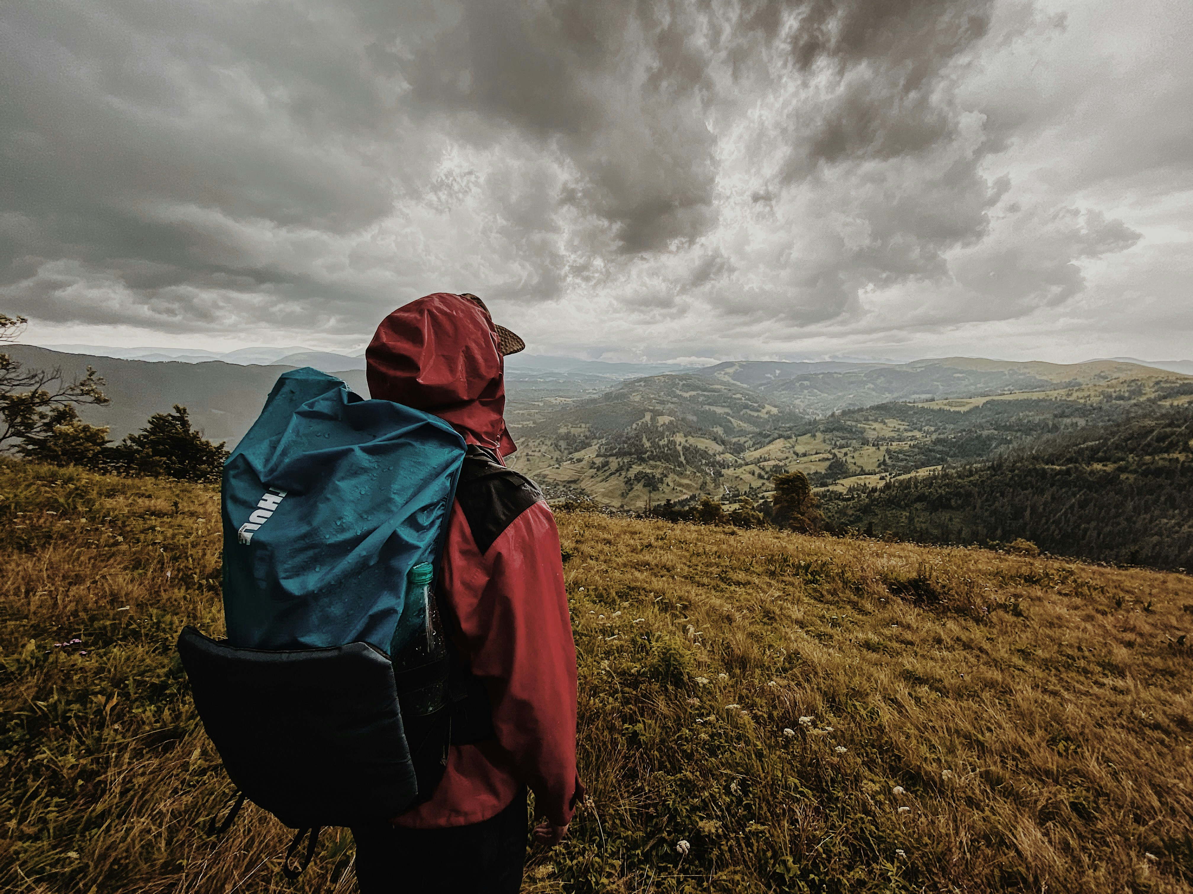 Photo by harazdovskiy