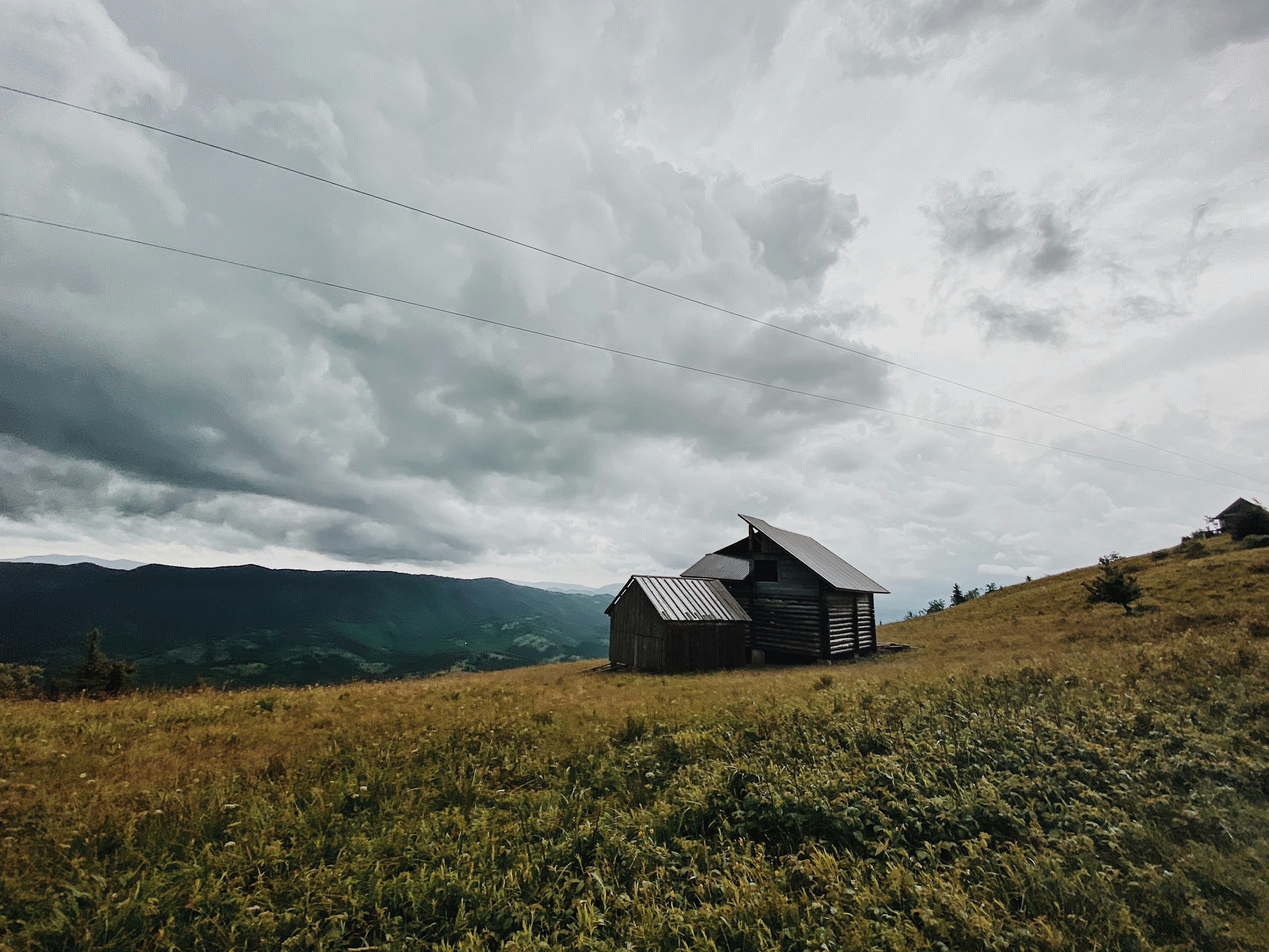 Photo by harazdovskiy