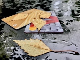 A pair of credit cards are placed on a wet, reflective surface with fallen leaves scattered on top. The surface appears to be made of dark, shiny material, and the leaves are light brown, hinting at an autumnal setting. Light reflections and small water droplets are visible on the surface, adding to the texture.