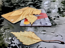 A pair of credit cards are placed on a wet, reflective surface with fallen leaves scattered on top. The surface appears to be made of dark, shiny material, and the leaves are light brown, hinting at an autumnal setting. Light reflections and small water droplets are visible on the surface, adding to the texture.