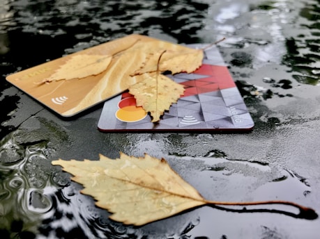 A pair of credit cards are placed on a wet, reflective surface with fallen leaves scattered on top. The surface appears to be made of dark, shiny material, and the leaves are light brown, hinting at an autumnal setting. Light reflections and small water droplets are visible on the surface, adding to the texture.