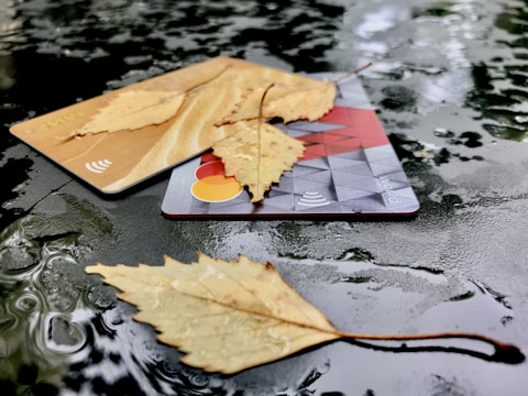 A pair of credit cards are placed on a wet, reflective surface with fallen leaves scattered on top. The surface appears to be made of dark, shiny material, and the leaves are light brown, hinting at an autumnal setting. Light reflections and small water droplets are visible on the surface, adding to the texture.