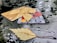 A pair of credit cards are placed on a wet, reflective surface with fallen leaves scattered on top. The surface appears to be made of dark, shiny material, and the leaves are light brown, hinting at an autumnal setting. Light reflections and small water droplets are visible on the surface, adding to the texture.