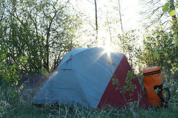 white and red tent on green grass field during daytime