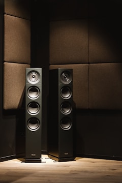 Two tall black speakers placed against a wall with dark brown acoustic panels. Wooden flooring provides a warm contrast to the otherwise dimly lit room.