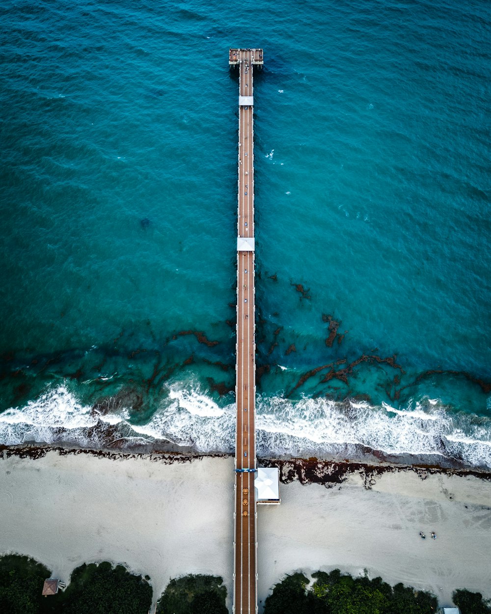 brown wooden dock on sea during daytime