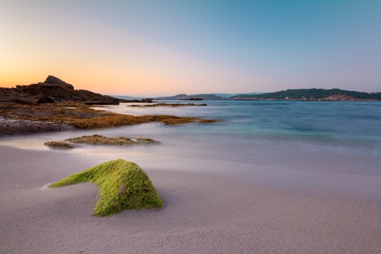 green moss on brown sand near body of water during daytime in Ría de Aldán Spain